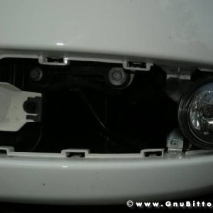 Mozzarellina 2008 - 20**