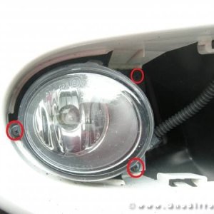 Mozzarellina 2008 - 20**