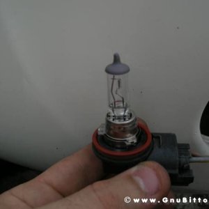 Mozzarellina 2008 - 20**