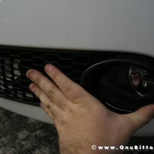 Mozzarellina 2008 - 20**