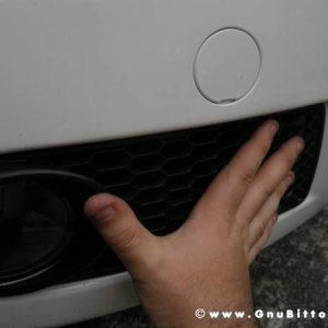 Mozzarellina 2008 - 20**