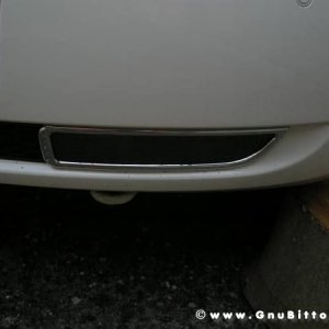 Mozzarellina 2008 - 20**