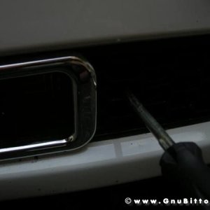 Mozzarellina 2008 - 20**