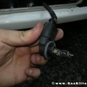 Mozzarellina 2008 - 20**