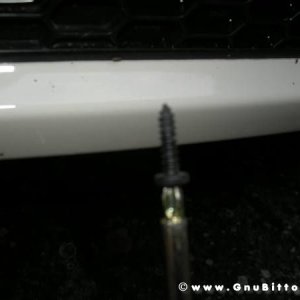 Mozzarellina 2008 - 20**