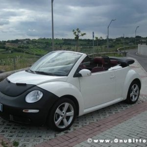 Mozzarellina 2008 - 20**