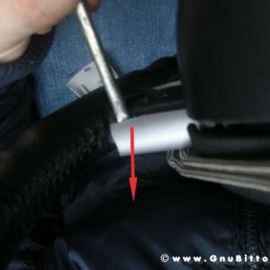 Mozzarellina 2008 - 20**