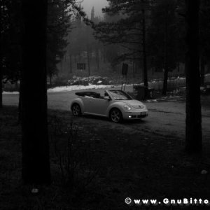 Mozzarellina 2008 - 20**