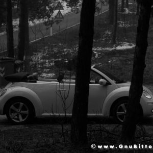 Mozzarellina 2008 - 20**