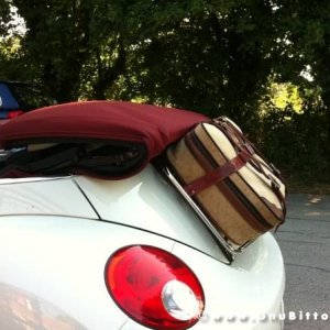 Mozzarellina 2008 - 20**