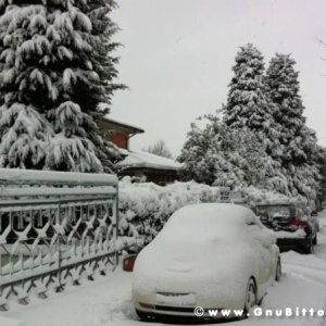 Mozzarellina 2008 - 20**