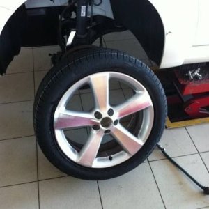 Mozzarellina 2008 - 20**