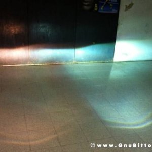 Mozzarellina 2008 - 20**