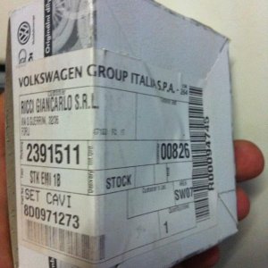 Mozzarellina 2008 - 20**