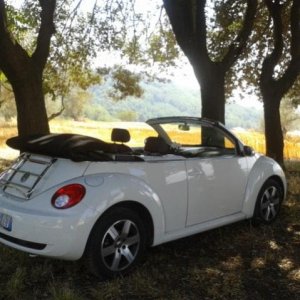 Maremma