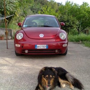 come ? adesso, aprile 2013