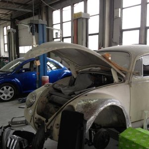 Non tutti i mali vengono per nuocere!