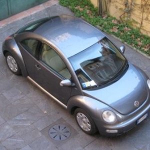 NEW BEETLE TOPO Metallizzato