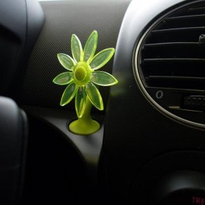 la mia Vw New Beetle