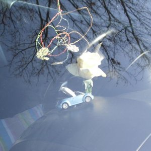 la mia prima assemblea soci