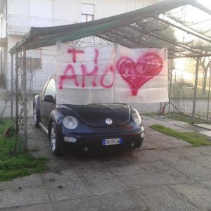 san valentino beetle