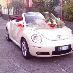 la mia New Beetle