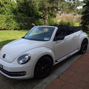 beetle cabrio