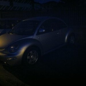 PussyBeetle