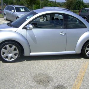 new beetle