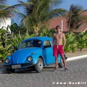 Le vacanze dei Gnubitters!