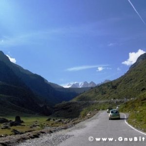 Le vacanze dei Gnubitters!