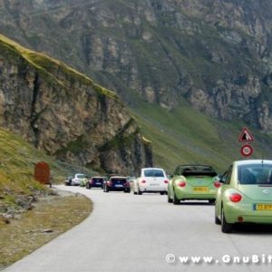 Le vacanze dei Gnubitters!