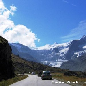 Le vacanze dei Gnubitters!