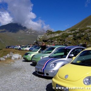 Le vacanze dei Gnubitters!