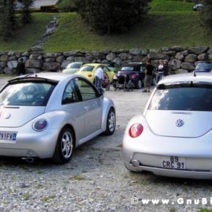 Le vacanze dei Gnubitters!