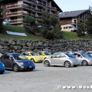 Le vacanze dei Gnubitters!