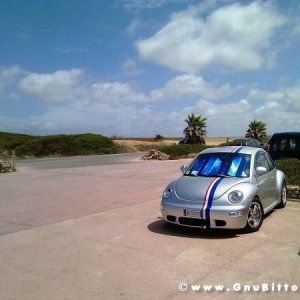 Le vacanze dei Gnubitters!