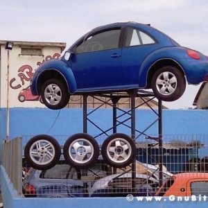 Le vacanze dei Gnubitters!