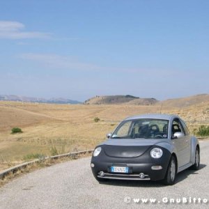 Le vacanze dei Gnubitters!