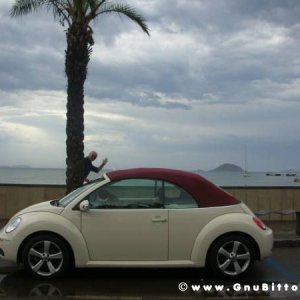 Le vacanze dei Gnubitters!