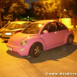 Le vacanze dei Gnubitters!