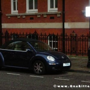 Le vacanze dei Gnubitters!