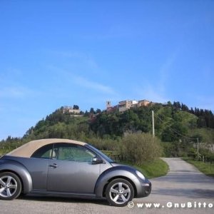 Le vacanze dei Gnubitters!