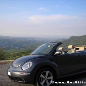 Le vacanze dei Gnubitters!