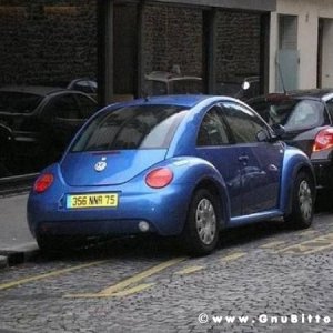 Le vacanze dei Gnubitters!