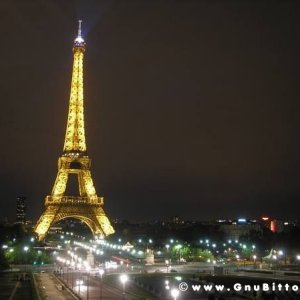 Le vacanze dei Gnubitters!