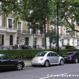 Le vacanze dei Gnubitters!