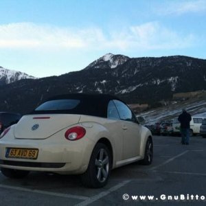 Le vacanze dei Gnubitters!