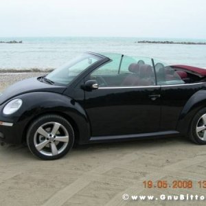 Le vacanze dei Gnubitters!