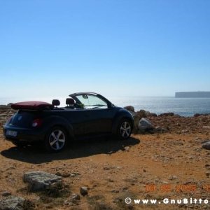 Le vacanze dei Gnubitters!